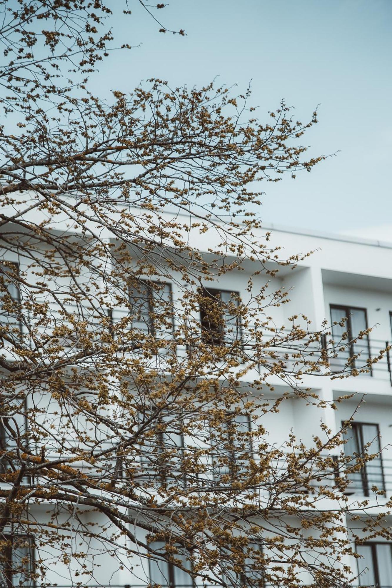 Oe Seaside Suites & Spa Kuressaare Exteriér fotografie